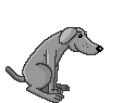 Dogs mini graphics