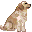 Dogs mini graphics
