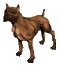 Dogs mini graphics