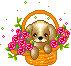 Dogs mini graphics