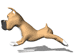 Dogs mini graphics