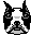 Dogs mini graphics