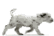 Dogs mini graphics