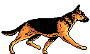 Dogs mini graphics