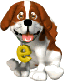 Dogs mini graphics