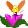Elves mini graphics