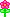 Flowers mini graphics
