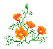 Flowers mini graphics