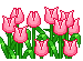 Flowers mini graphics