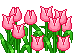 mini-graphics-flowers-685893.gif