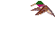 Hummingbird mini graphics