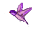 Hummingbird mini graphics