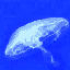 Miscellaneous mini graphics