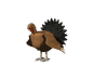 Miscellaneous mini graphics