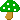 Mushrooms mini graphics