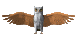 Owls mini graphics