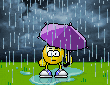 Rain mini graphics