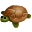 Turtles mini graphics