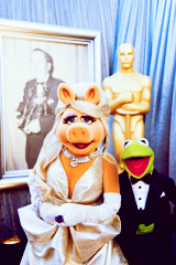 The muppets movies and series