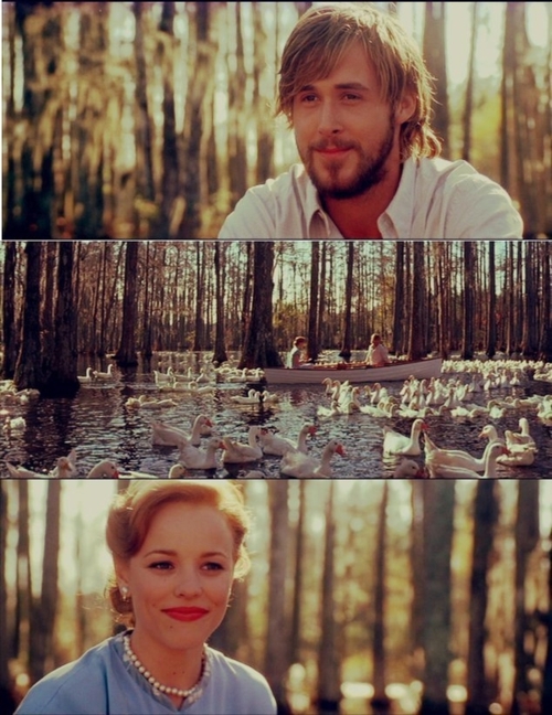 The notebook