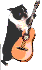 Animals music music graphics