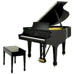 Piano forte music graphics