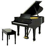 Piano forte music graphics