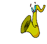 Wind instruments music graphics