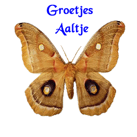 Aaltje name graphics