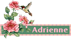Adrienne name graphics