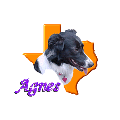 Agnes name graphics