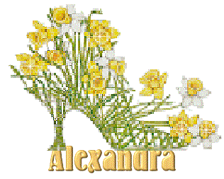 Alexandra name graphics