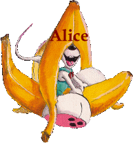 Alice name graphics