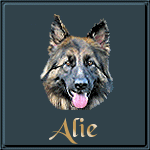 Alie name graphics