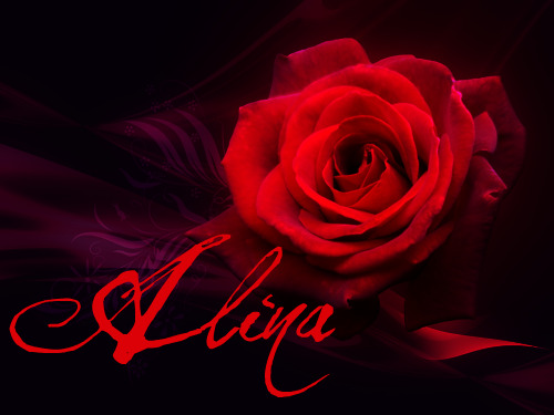 Alina name graphics