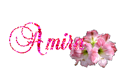 Amira name graphics