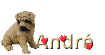 Andre name graphics
