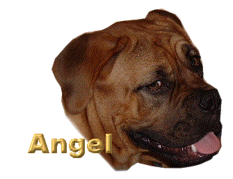 Angel name graphics