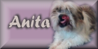 Anita name graphics