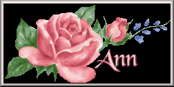 Ann name graphics