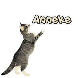 Anneke name graphics