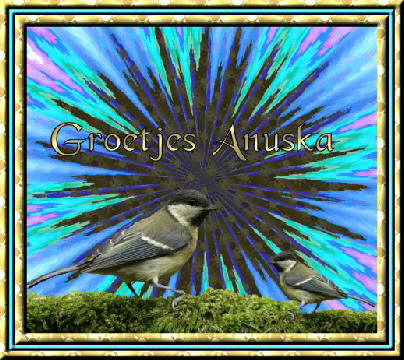 Anuska name graphics