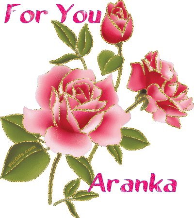 Aranka name graphics