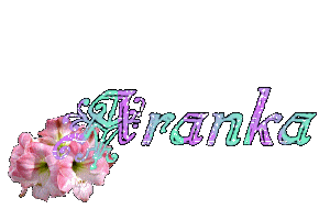 Aranka name graphics