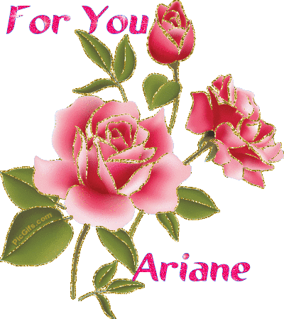 Ariane name graphics