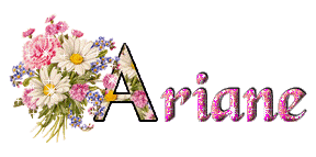 Ariane name graphics