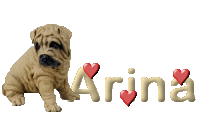 Arina name graphics