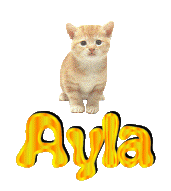 Ayla name graphics