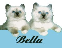 Bella name graphics