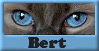 Bert name graphics